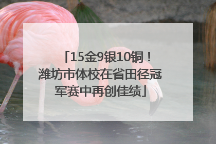 15金9银10铜！潍坊市体校在省田径冠军赛中再创佳绩