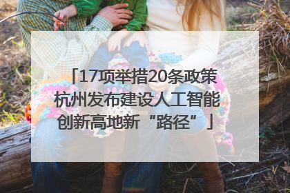 17项举措20条政策 杭州发布建设人工智能创新高地新“路径”