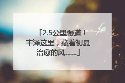 2.5公里慢道！丰泽这里，藏着初夏治愈的风……