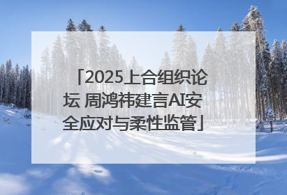 2025上合组织论坛 周鸿祎建言AI安全应对与柔性监管