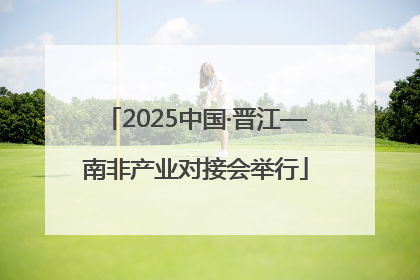 2025中国·晋江—南非产业对接会举行