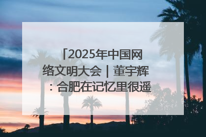 2025年中国网络文明大会｜董宇辉：合肥在记忆里很遥远也很亲切