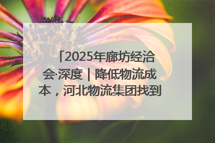 2025年廊坊经洽会·深度｜降低物流成本，河北物流集团找到一把“金钥匙”