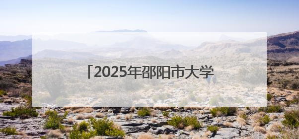 2025年邵阳市大学生暑期“三下乡”社会实践活动推介会成功举办