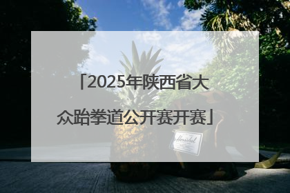 2025年陕西省大众跆拳道公开赛开赛