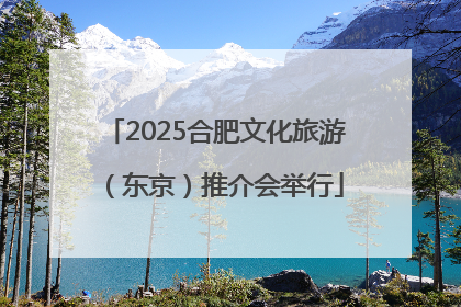 2025合肥文化旅游（东京）推介会举行