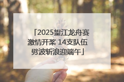 2025望江龙舟赛激情开桨 14支队伍劈波斩浪迎端午