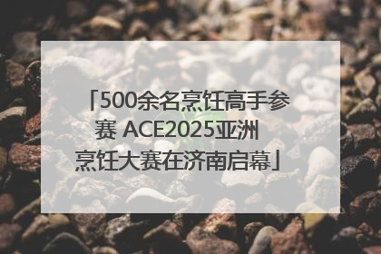 500余名烹饪高手参赛 ACE2025亚洲烹饪大赛在济南启幕
