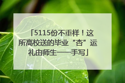 5115份不重样！这所高校送的毕业“杏”运礼由师生一一手写