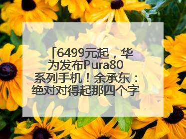 6499元起，华为发布Pura80系列手机！余承东：绝对对得起那四个字！华为近十年研发投入12490亿元