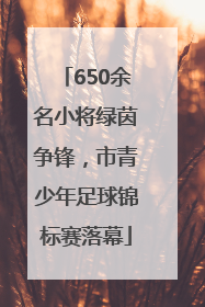 650余名小将绿茵争锋，市青少年足球锦标赛落幕