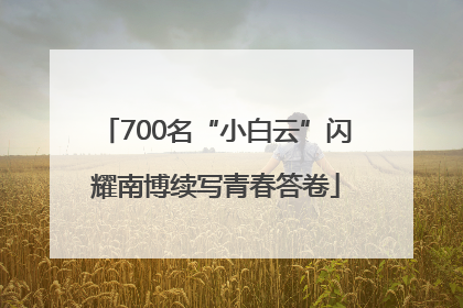 700名“小白云”闪耀南博续写青春答卷