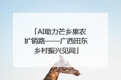 AI助力芒乡果农扩销路——广西田东乡村振兴见闻